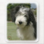 Bearded Collie 9Y049D-026 Mouse Pads