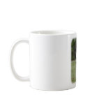 Bearded Collie 9Y049D-026 Mugs