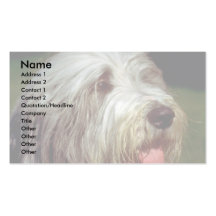 Bearded Collie Business Card Template