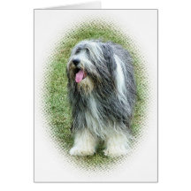 bearded collie Card