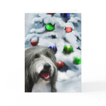 Bearded Collie Christmas Gifts Greeting Cards