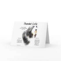 Bearded Collie History Design