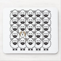 Bearded Collie in the Sheep