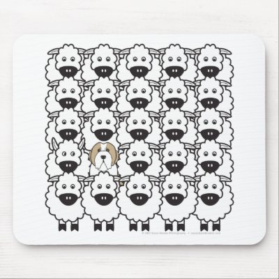 Bearded Collie in the Sheep by khocker