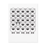 Bearded Collie in the Sheep Post Cards