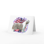 Bearded Collie Patriot
