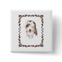 Bearded Collie Puppy