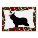 Bearded Collie Reindeer Christmas Card