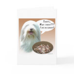 Bearded Collie Turkey Card