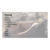 Bearded Dragon, Australia Business Card Template