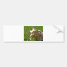 Bearded dragon bumper sticker