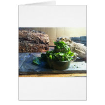 Bearded dragon enjoying salad cards