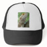 Bearded Dragon Mesh Hat