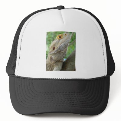 Bearded Dragon Mesh Hat by Natures_Whisper