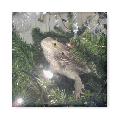 bearded dragon in xmas tree magnets by gizmo2025