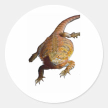 Bearded Dragon iPhone 5 case Stickers