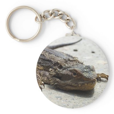 Bearded Dragon Keyring Keychains by PhotoPixie