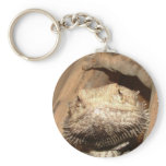 Bearded Dragon Keyring Key Chains