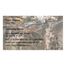 Bearded dragon lizard business card