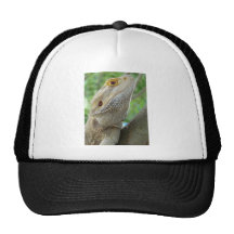 Bearded Dragon Mesh Hat