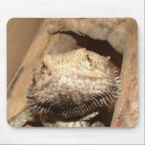 Bearded Dragon Mousemat mousepads