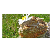 Bearded dragon personalized photo card