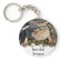Bearded Dragon Series