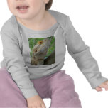 Bearded Dragon Shirts