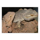 Bearded Dragons Greeting Card