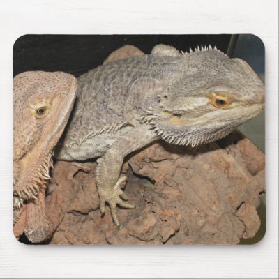 Bearded Dragons Mouse Mat by Natures_Whisper