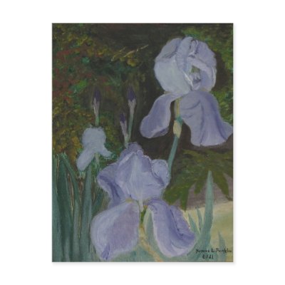 Bearded Iris Postcard by naturegirl7
