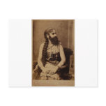Bearded Lady