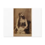 Bearded Lady