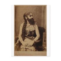 Bearded Lady