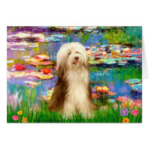 Beardie 16 - Lilies 2 Card