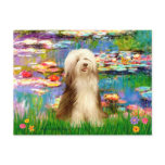 Beardie 16 - Lilies 2 Postcard