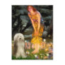 Beardie 16 - MidEve Postcards