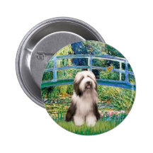 Beardie 1 - Bridge Button