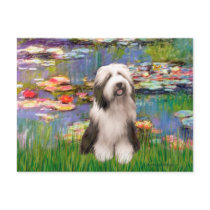 Beardie 1 - Lilies 2 Post Card