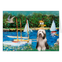 Beardie 1 - Sailboats Card