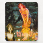Beardie 9 - MidEve Mouse Mats