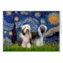 Beardie Pair 1 - Starry Night Greeting Card