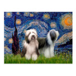 Beardie Pair 1 - Starry Night Post Card