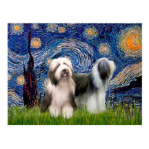 Beardie Pair 1 - Starry Night Post Card