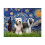 Beardie Pair 1 - Starry Night Post Card