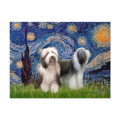 Beardie Pair 1 - Starry Night Post Card by masterpiecedogs