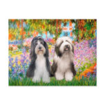 Beardie Pair 2 - Garden Postcards