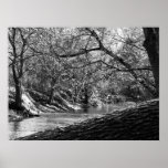 Beargrass Creek (Black & White Photo Print)