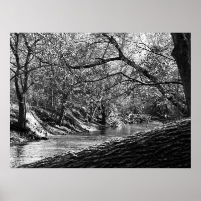 Beargrass Creek (Black & White Photo Print) by OriginalPerspective