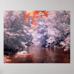 Beargrass Creek infrared Print